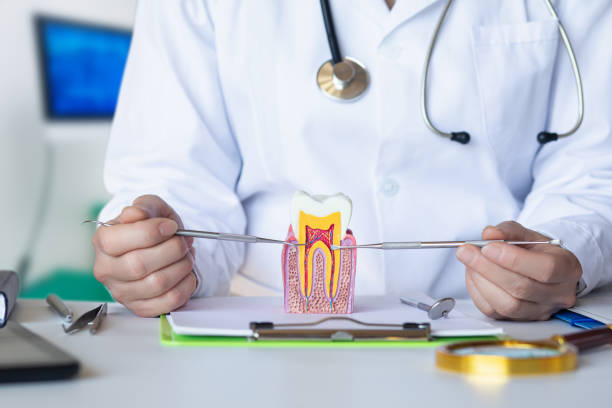 Best Emergency Dental Care for Abscessed Tooth in Demorest, GA